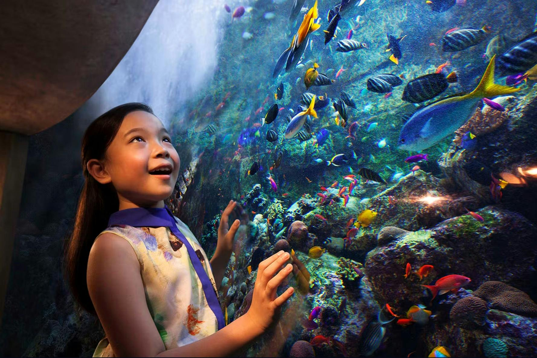 Aquaventure World: Waterpark Day Pass + Lost World Aquarium - Photo 1 of 7
